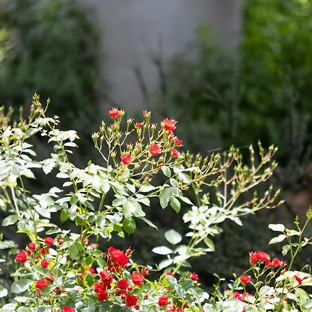 Vallis Rabiosa By Adex Travel * Ζαντάρ